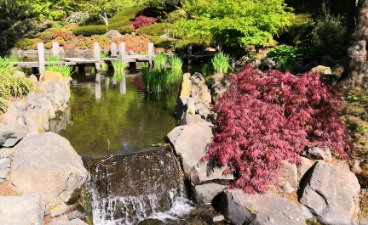 Japanischer Garten in Kaiserslautern